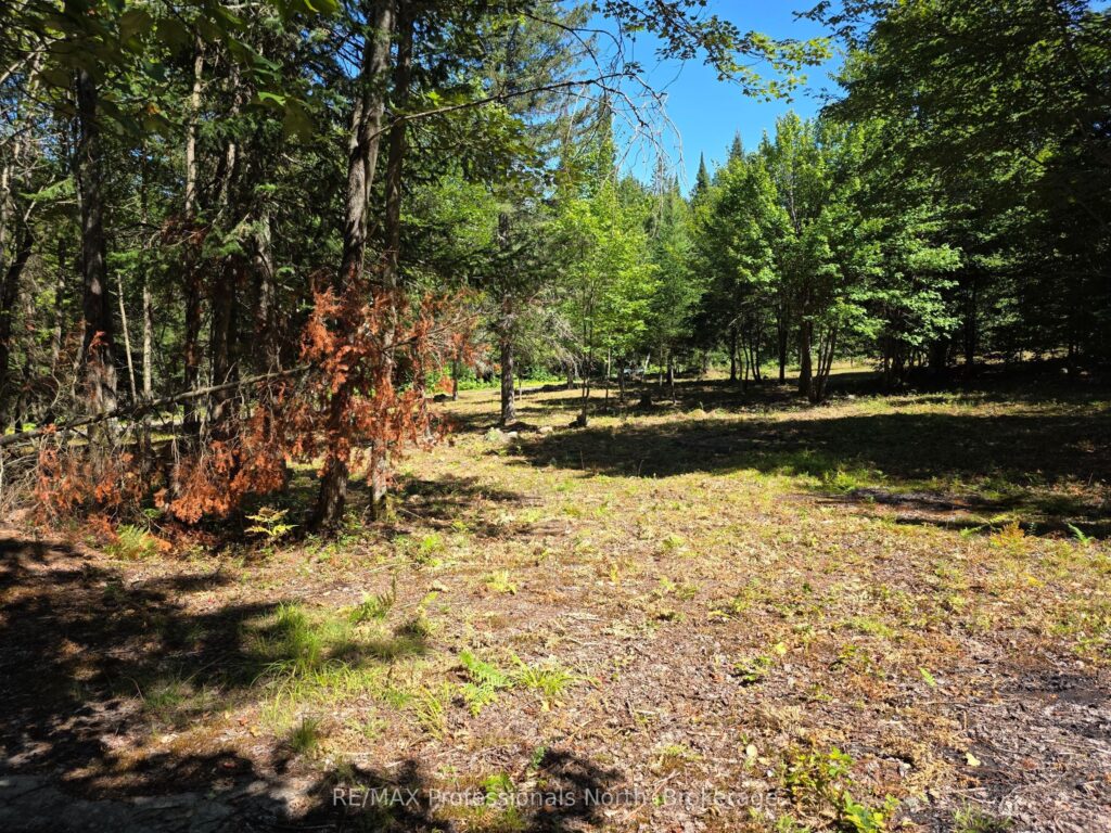 For Sale: 00 Whitney Road, Perry, ON P0A 1R0, Perry, ON - Property Photo
