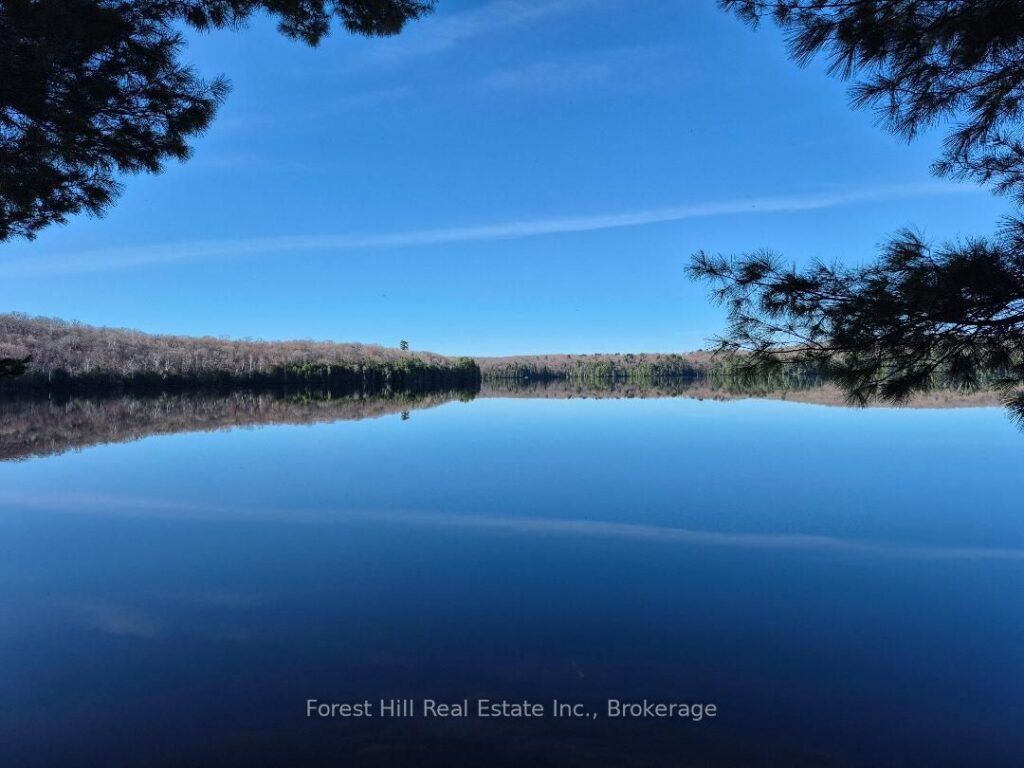 For Sale: 2193a Fern Glen Road S, McMurrich/Monteith, ON P0A 1Y0, McMurrich/Monteith, ON - Property Photo